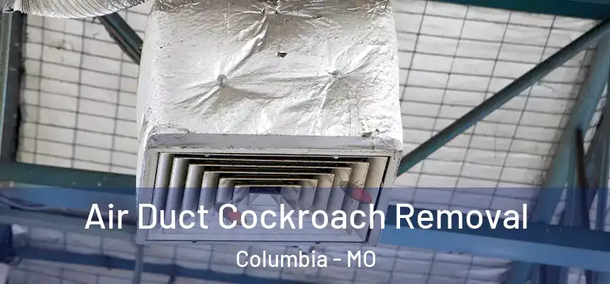Air Duct Cockroach Removal Columbia - MO