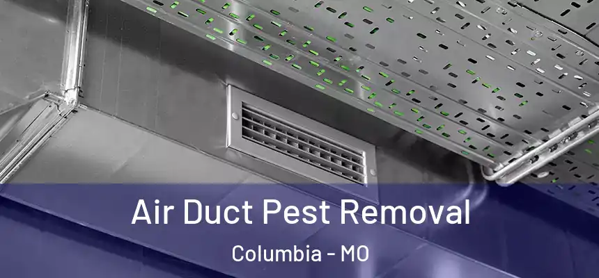 Air Duct Pest Removal Columbia - MO