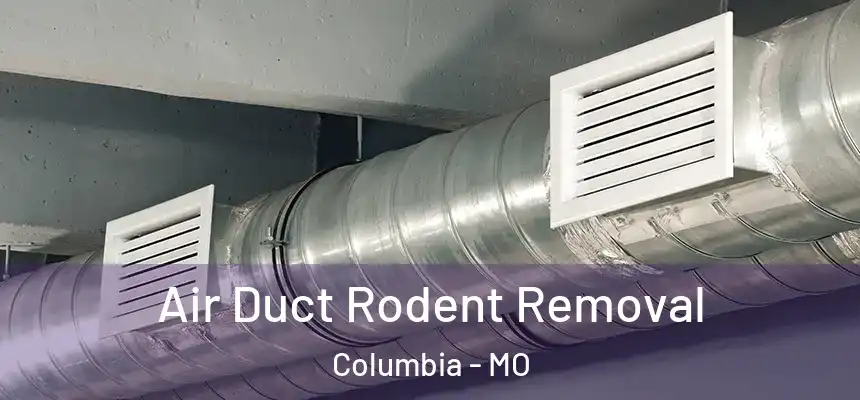 Air Duct Rodent Removal Columbia - MO