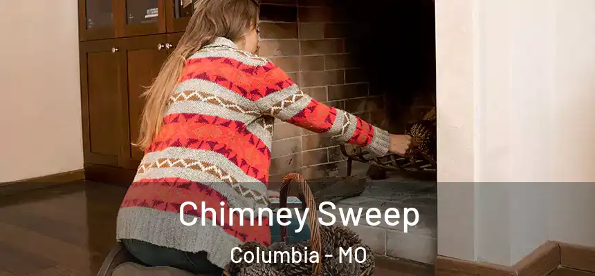 Chimney Sweep Columbia - MO