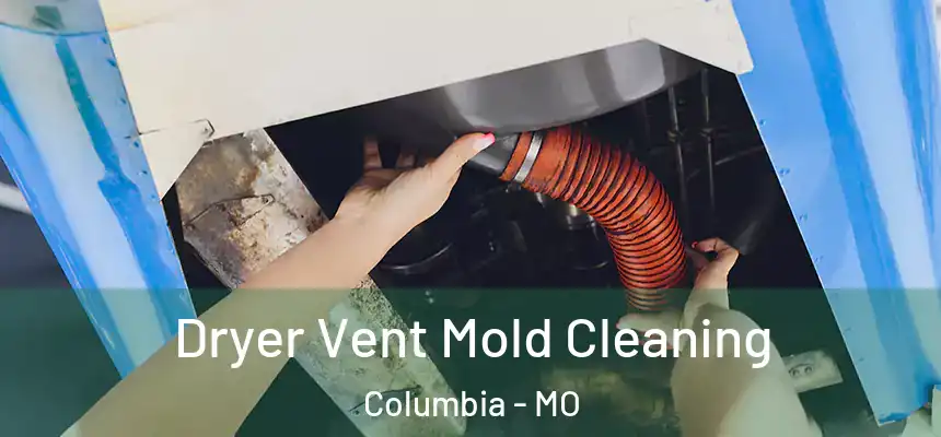 Dryer Vent Mold Cleaning Columbia - MO