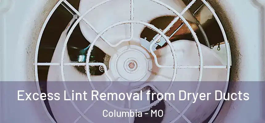 Excess Lint Removal from Dryer Ducts Columbia - MO