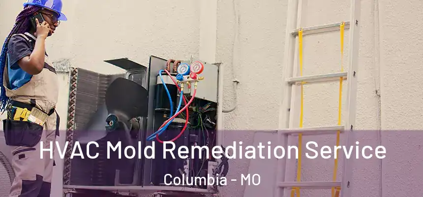 HVAC Mold Remediation Service Columbia - MO