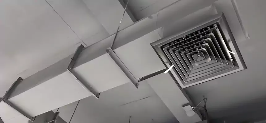 Our Pest Removal From Ducts Services in Columbia, MO