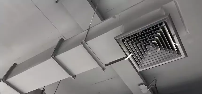 Our Rodent Droppings In Vents Services in Columbia, MO