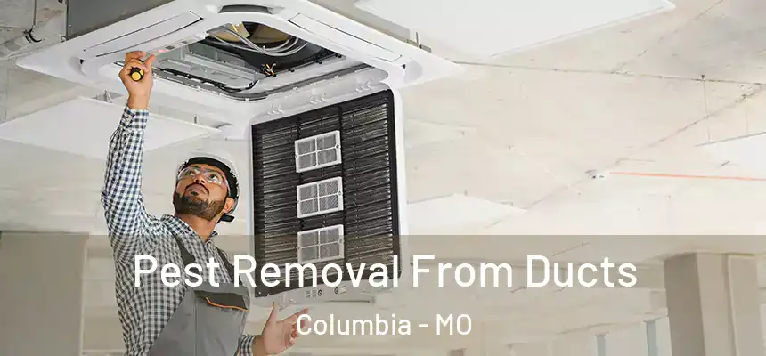 Pest Removal From Ducts Columbia - MO