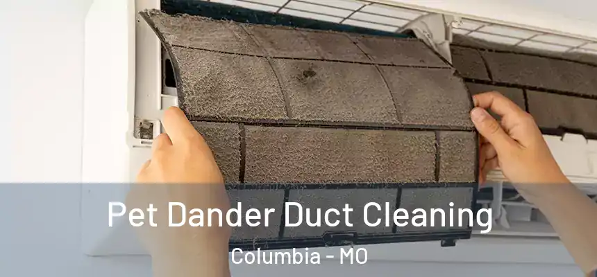 Pet Dander Duct Cleaning Columbia - MO