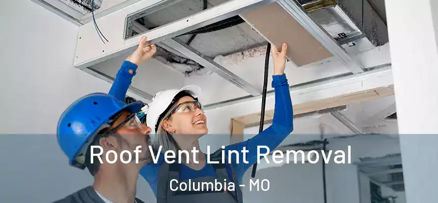 Roof Vent Lint Removal Columbia - MO