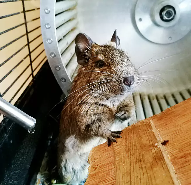 Why Homeowners & Businesses Trust Us Columbia, MO