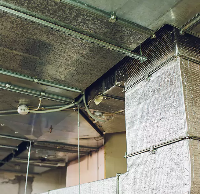 Why Homeowners & Businesses Trust Us in Columbia, MO?